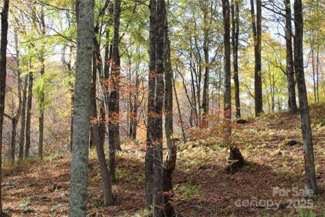 1571 Roaring Fork Road Burnsville NC 28714
