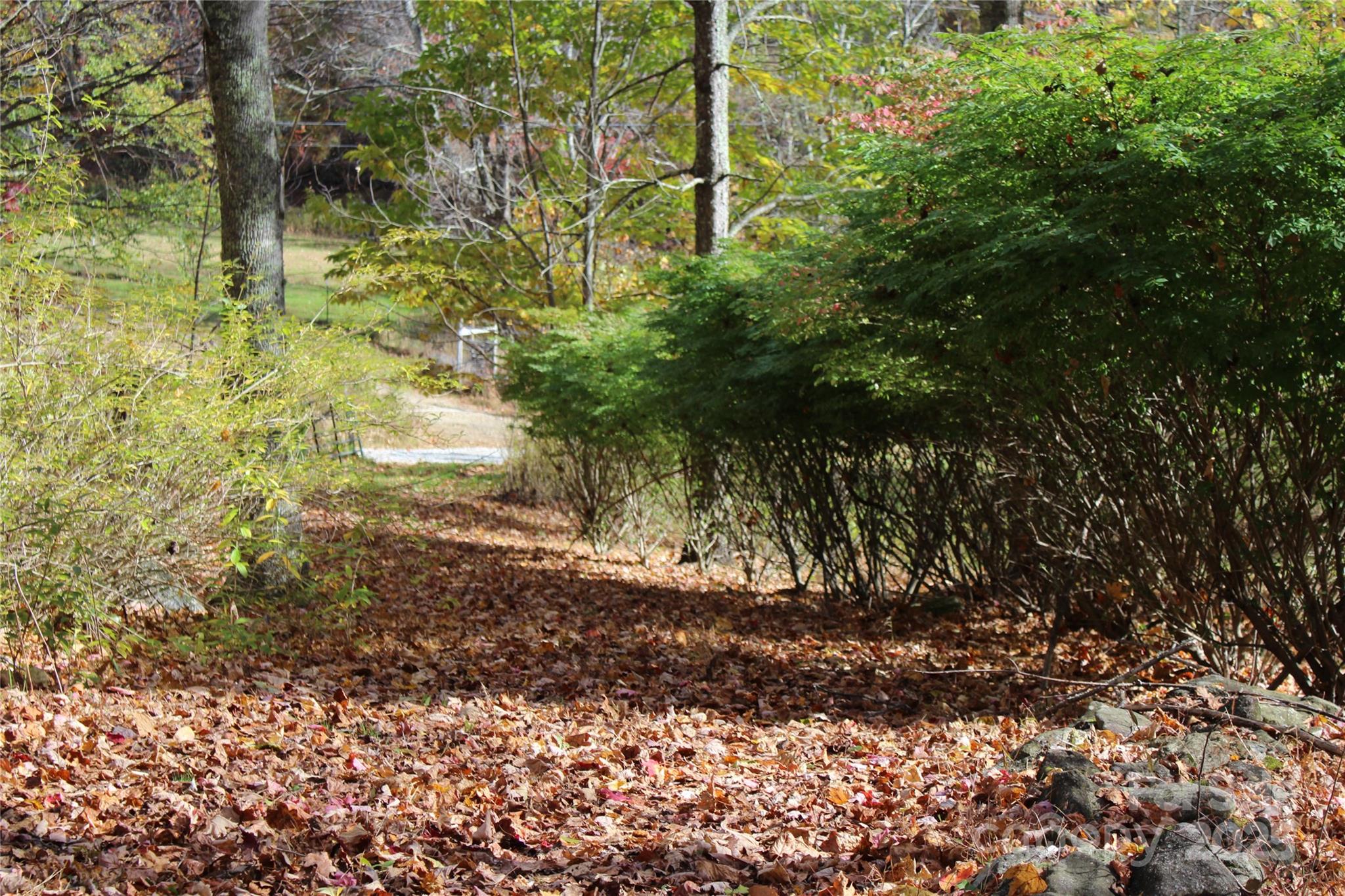 1571 Roaring Fork Road Burnsville NC 28714