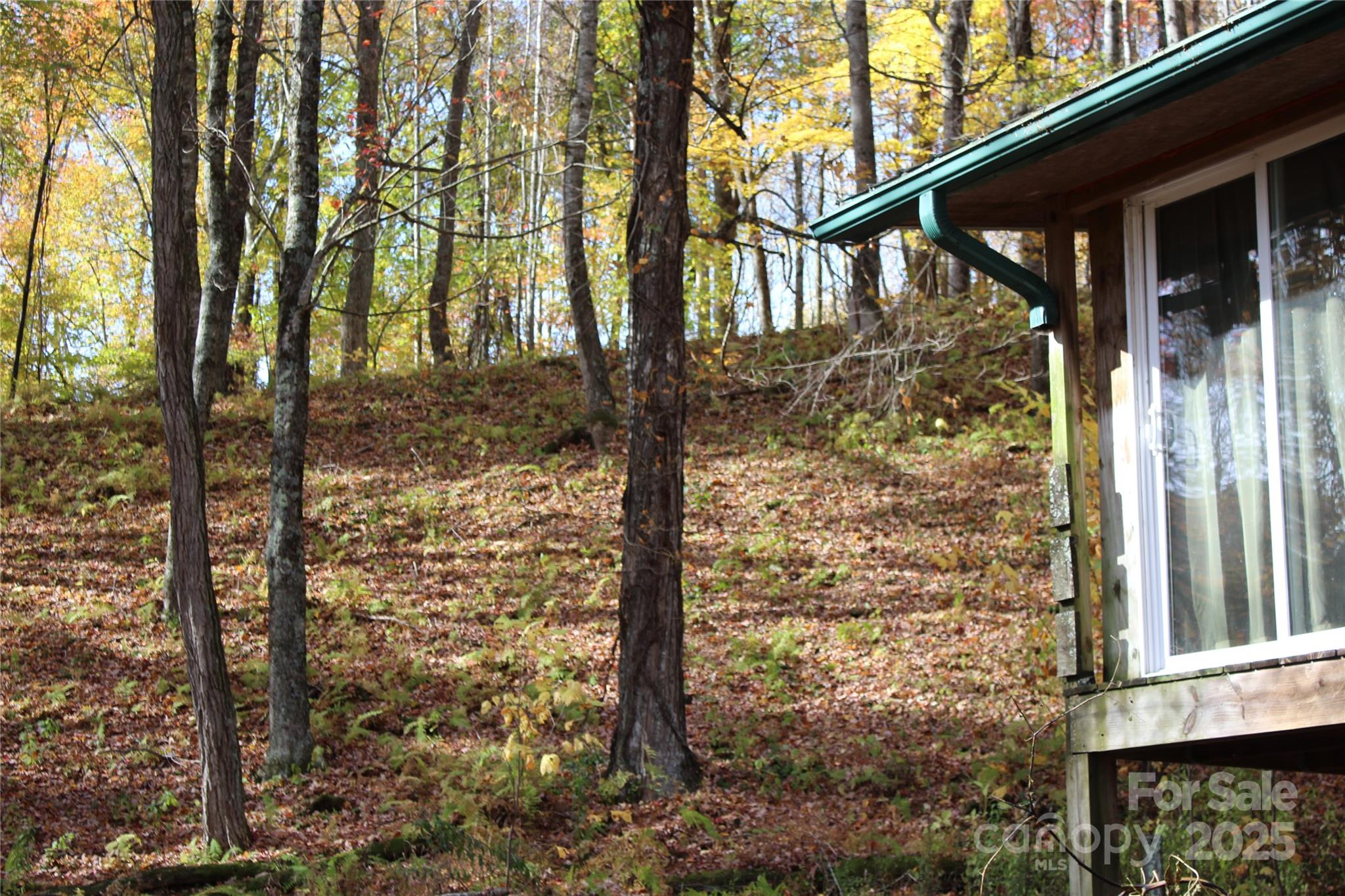 1571 Roaring Fork Road Burnsville NC 28714