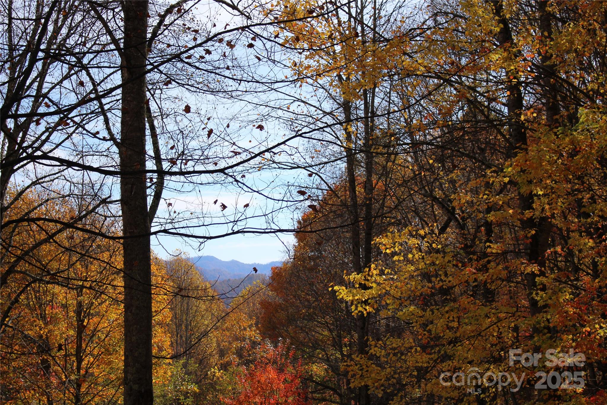 1571 Roaring Fork Road Burnsville NC 28714