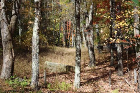 1571 Roaring Fork Road Burnsville NC 28714