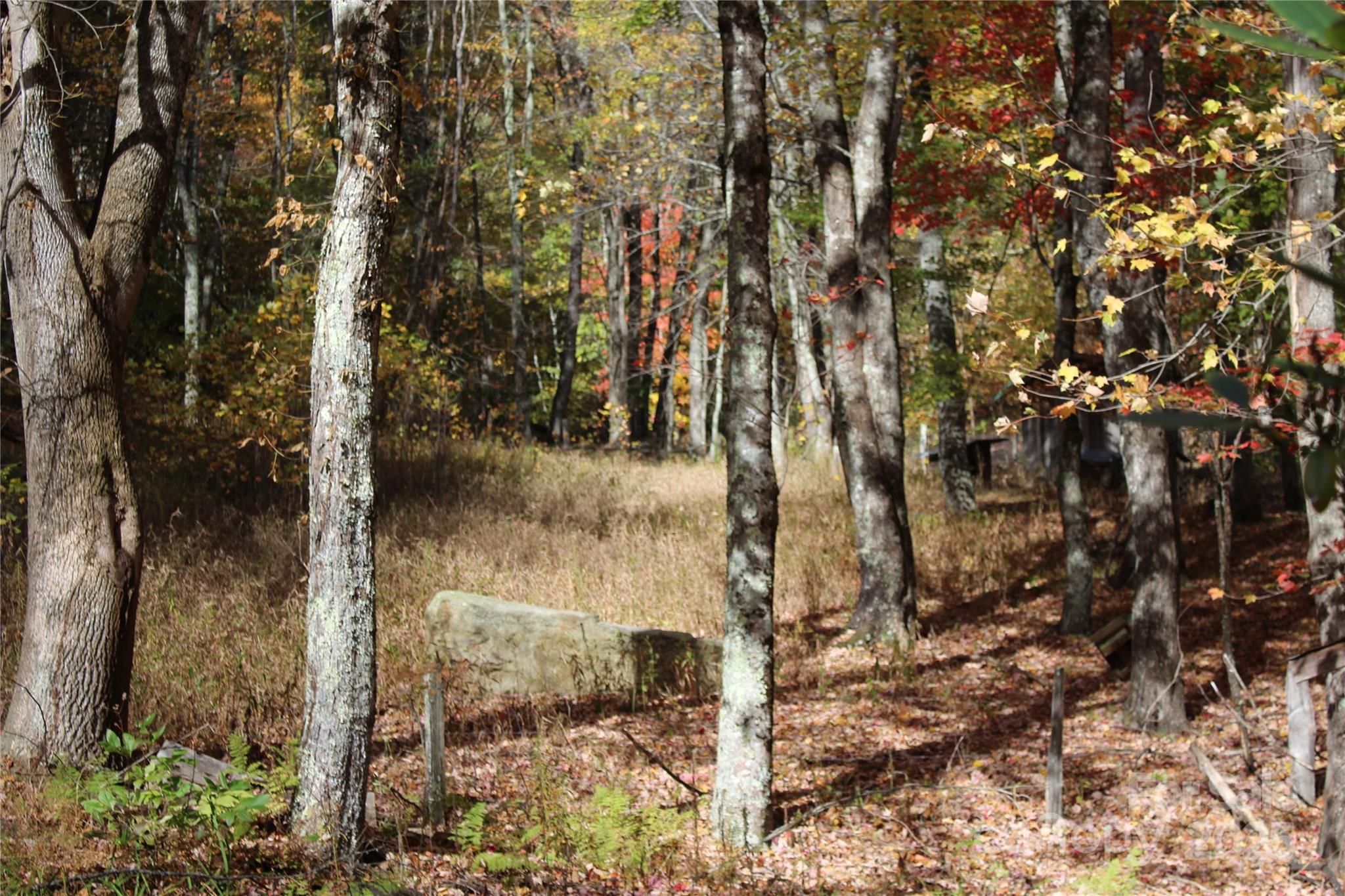 1571 Roaring Fork Road Burnsville NC 28714