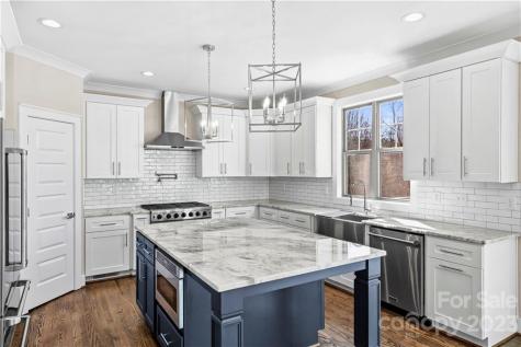 6672 Maple Spring Court Denver NC 28037