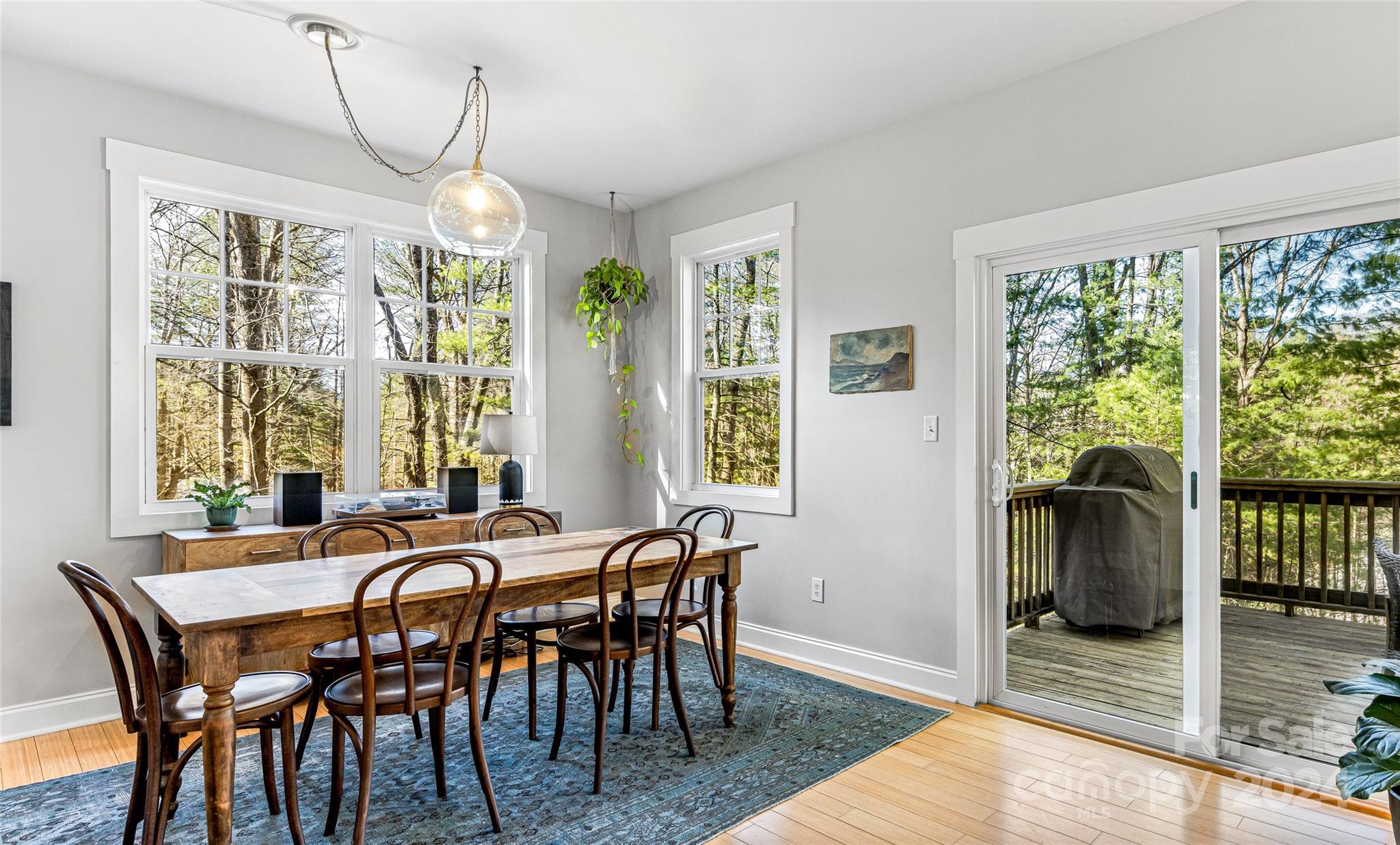 14 Pine Cove Road Asheville NC 28804