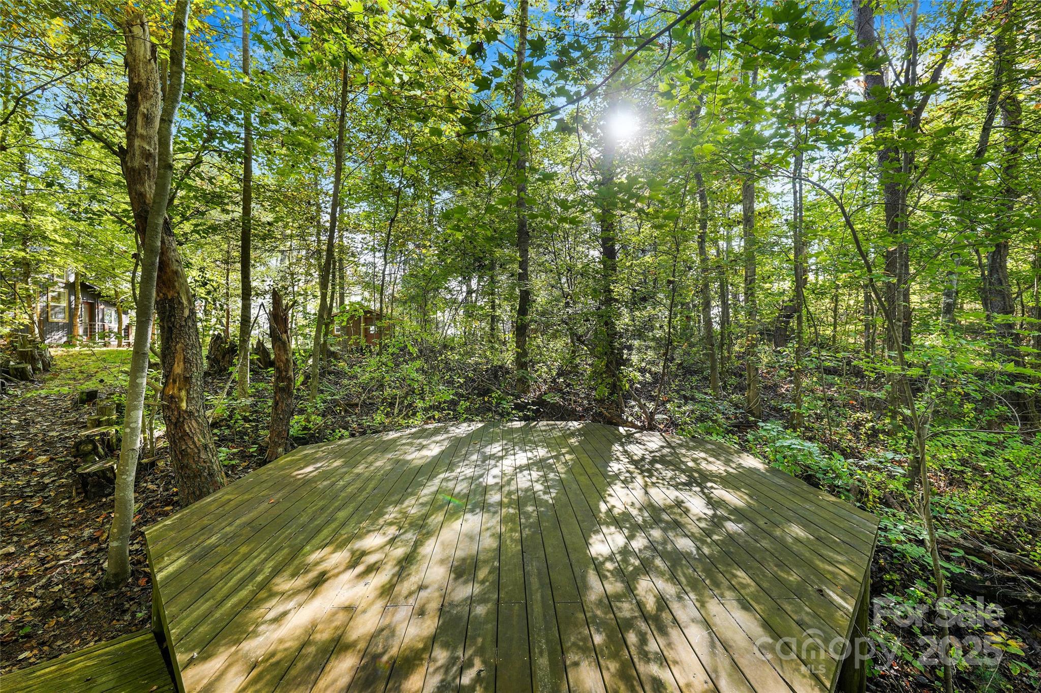 160 Ivy Bluffs Road Marshall NC 28753