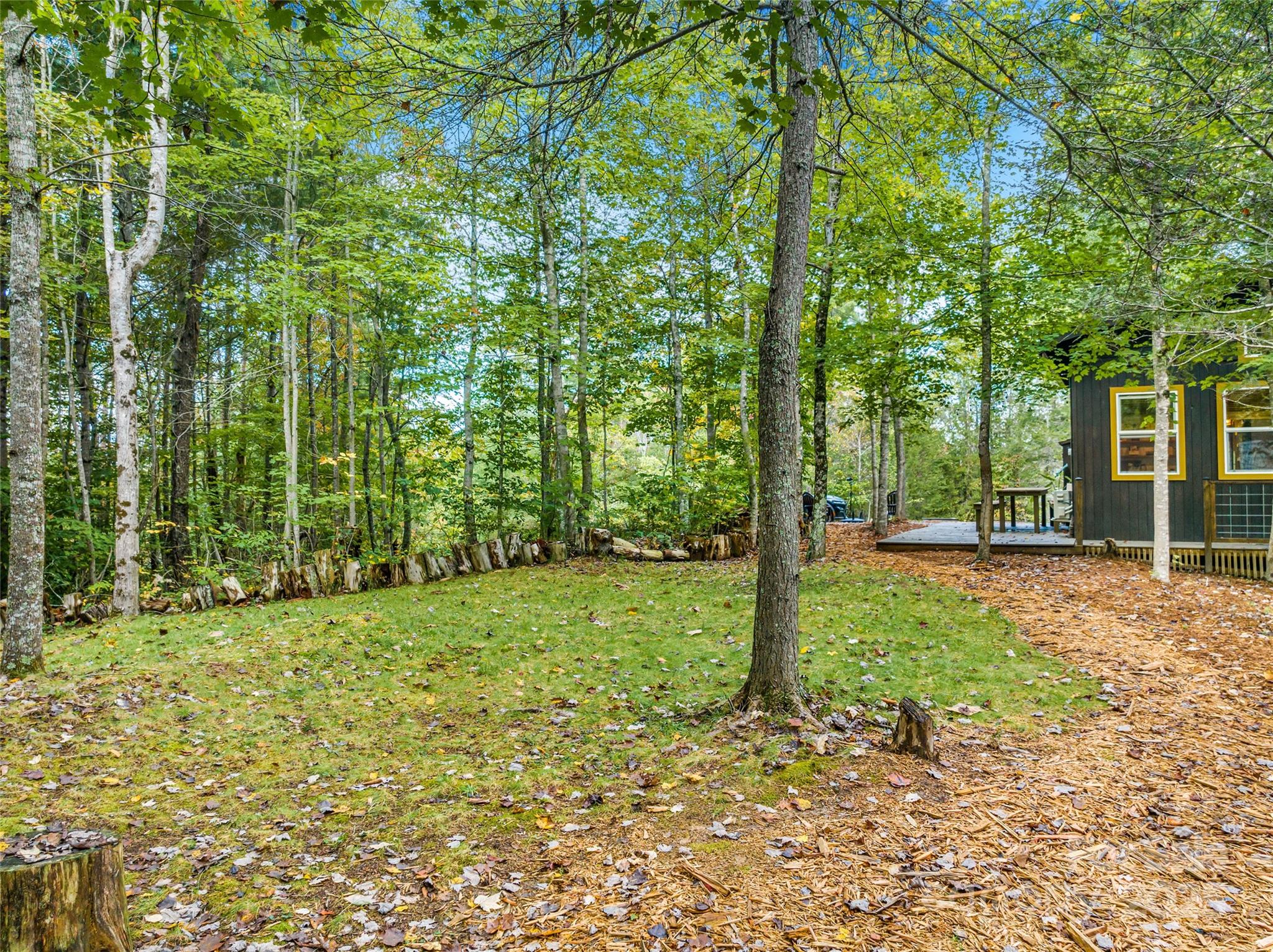 160 Ivy Bluffs Road Marshall NC 28753