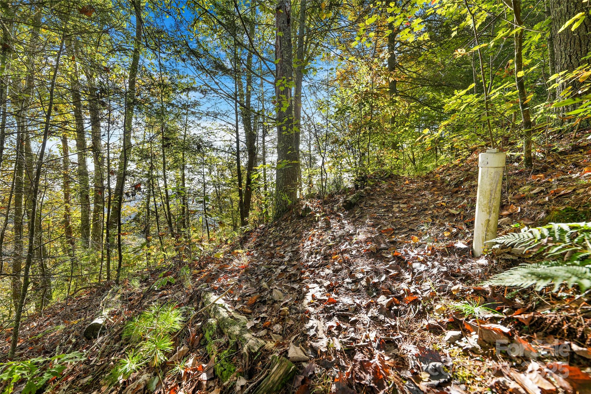 160 Ivy Bluffs Road Marshall NC 28753