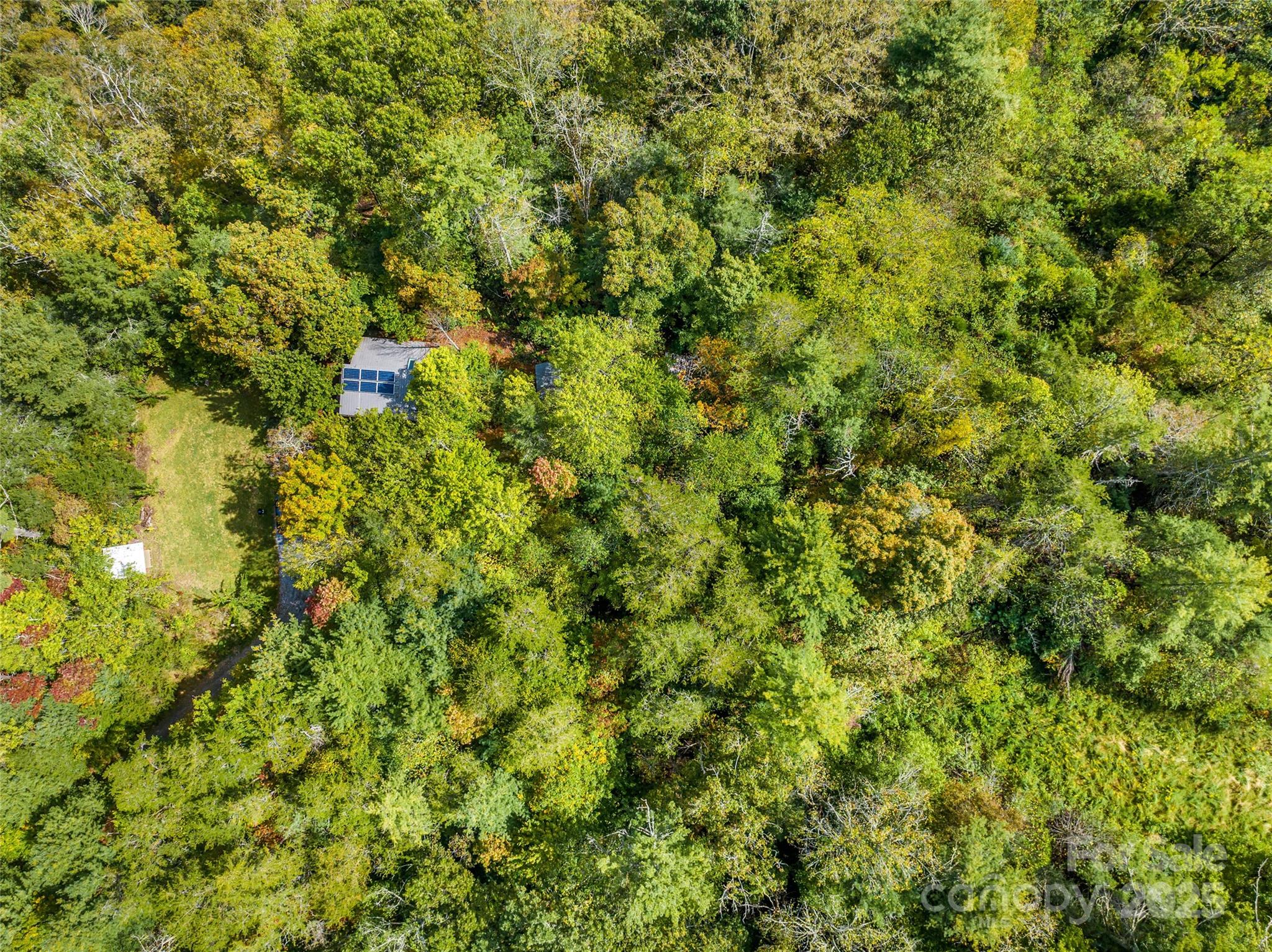 160 Ivy Bluffs Road Marshall NC 28753