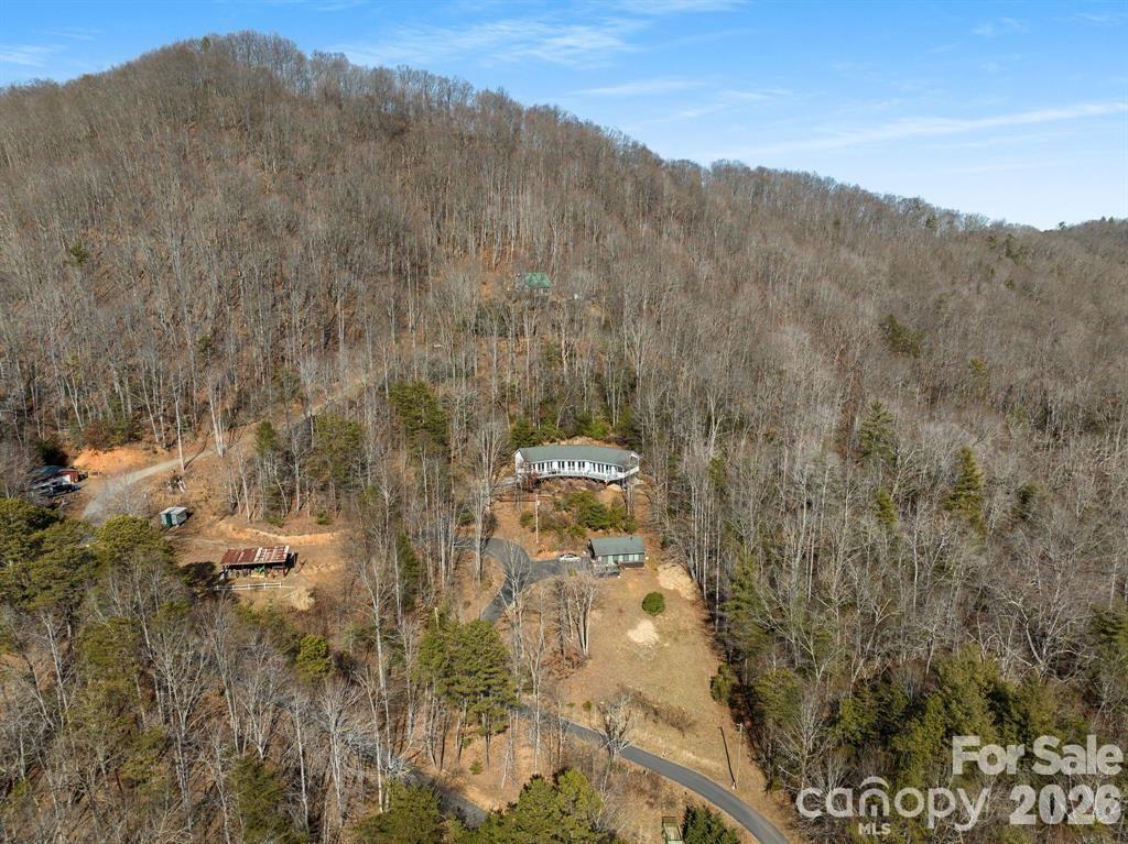 56 Great Horned Owl Road Candler NC 28715