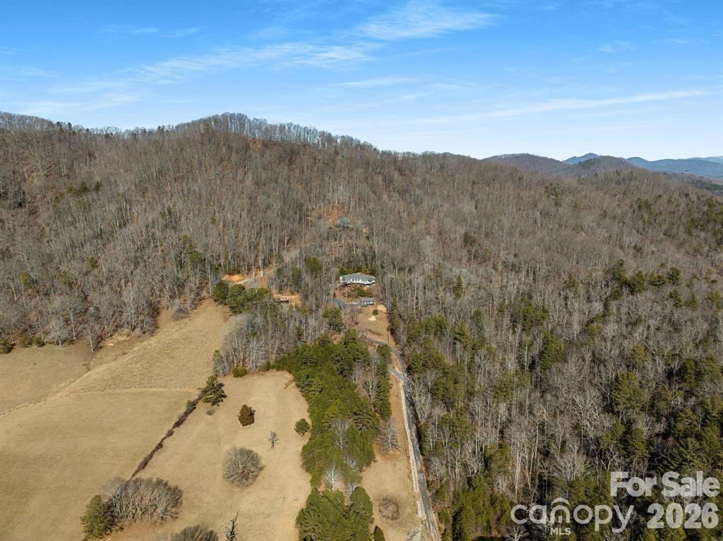 56 Great Horned Owl Road Candler NC 28715