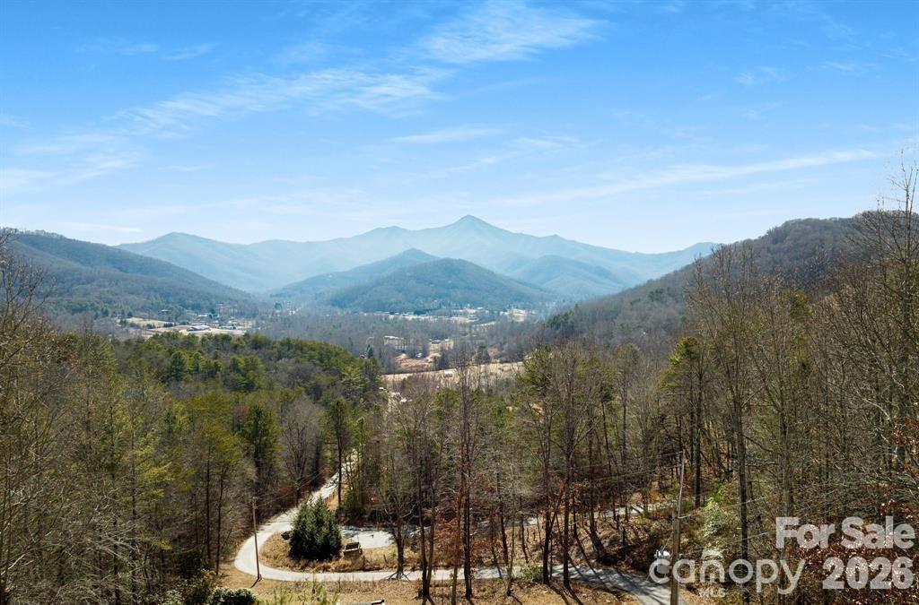 56 Great Horned Owl Road Candler NC 28715
