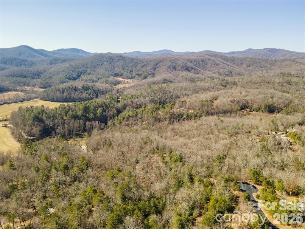 9999 Woodhen Way Horse Shoe NC 28742