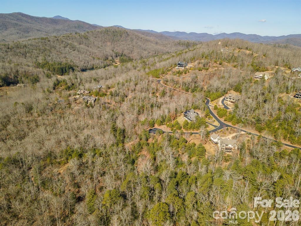 9999 Woodhen Way Horse Shoe NC 28742