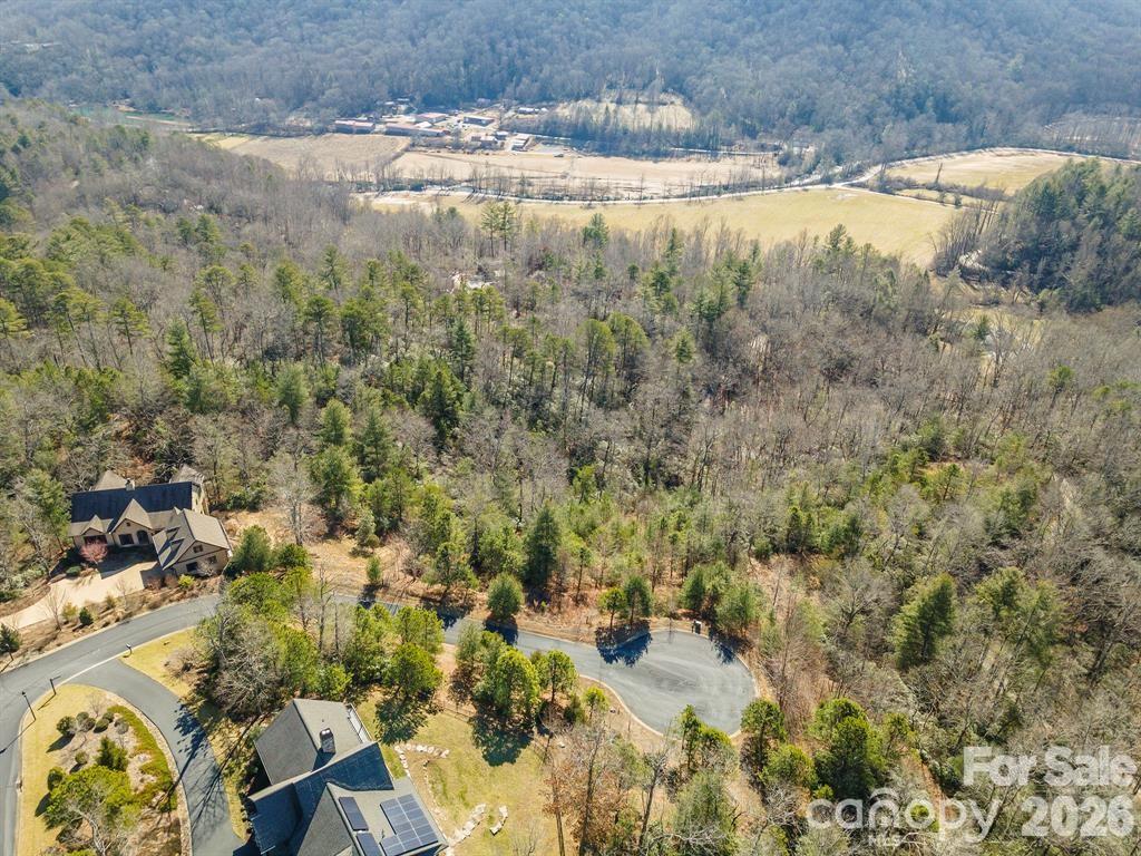 9999 Woodhen Way Horse Shoe NC 28742