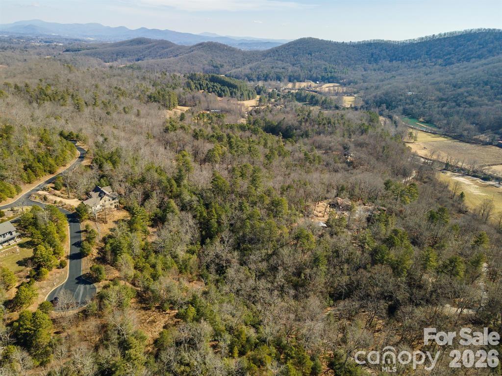 9999 Woodhen Way Horse Shoe NC 28742