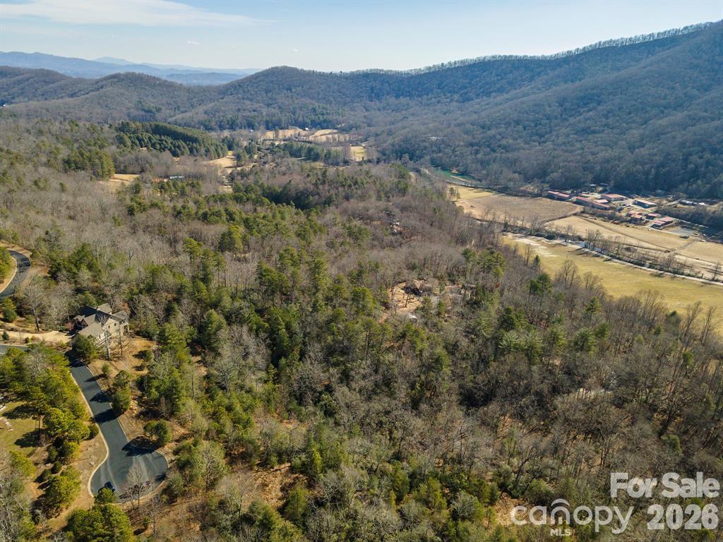 9999 Woodhen Way Horse Shoe NC 28742