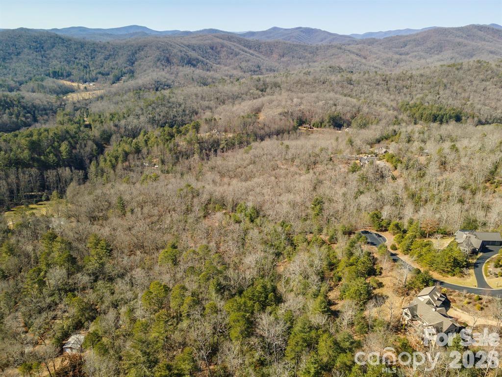 9999 Woodhen Way Horse Shoe NC 28742
