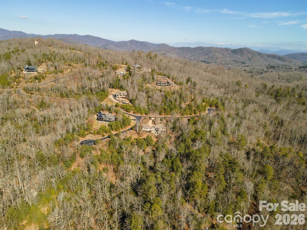 9999 Woodhen Way Horse Shoe NC 28742