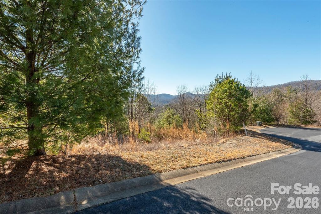 9999 Woodhen Way Horse Shoe NC 28742