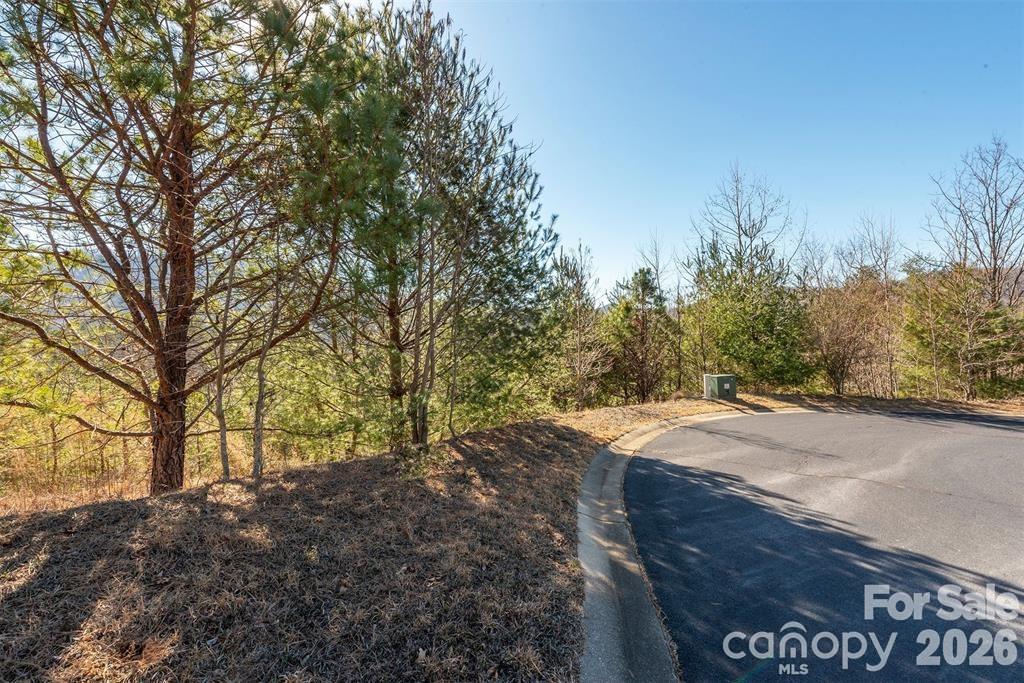 9999 Woodhen Way Horse Shoe NC 28742