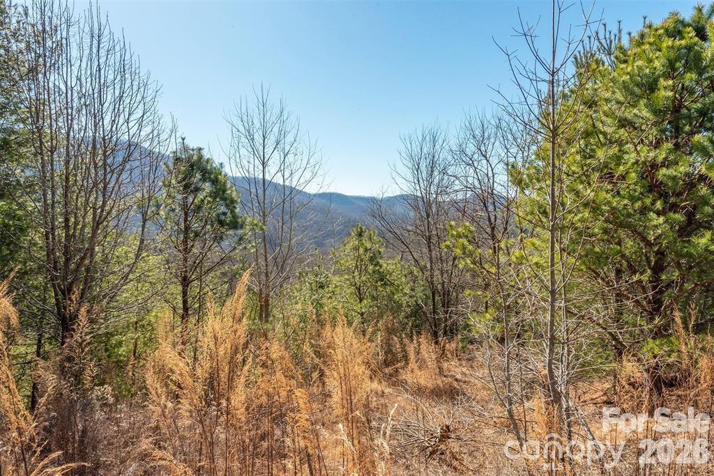 9999 Woodhen Way Horse Shoe NC 28742