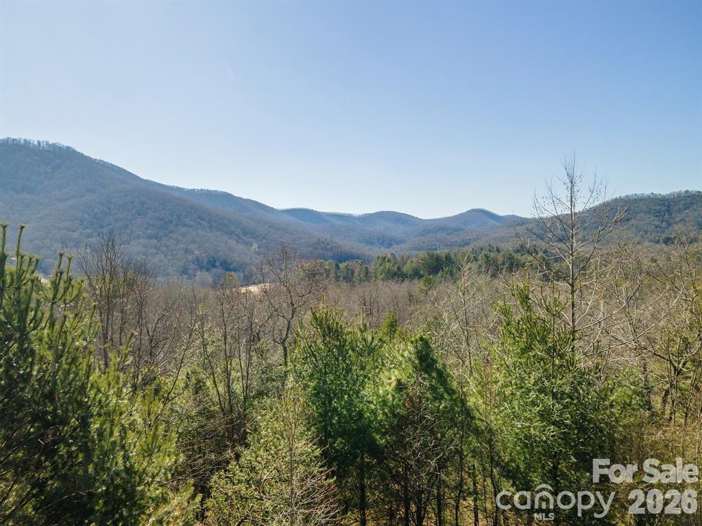 9999 Woodhen Way Horse Shoe NC 28742