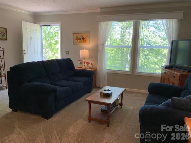 1205 Saunook Road Waynesville NC 28786