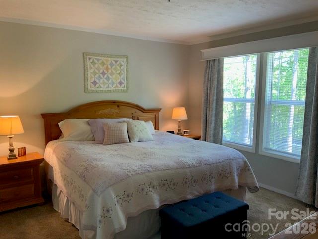 1205 Saunook Road Waynesville NC 28786