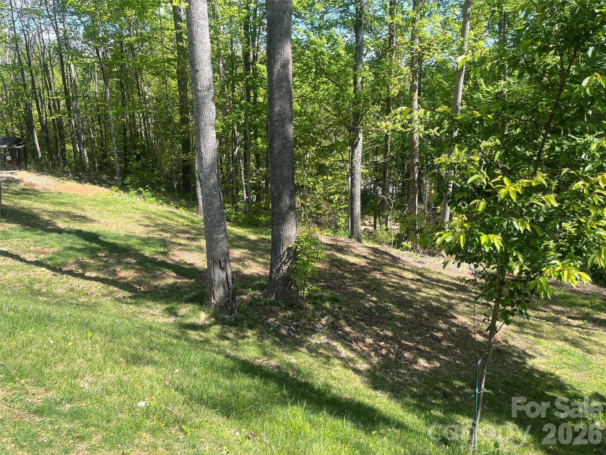 1205 Saunook Road Waynesville NC 28786