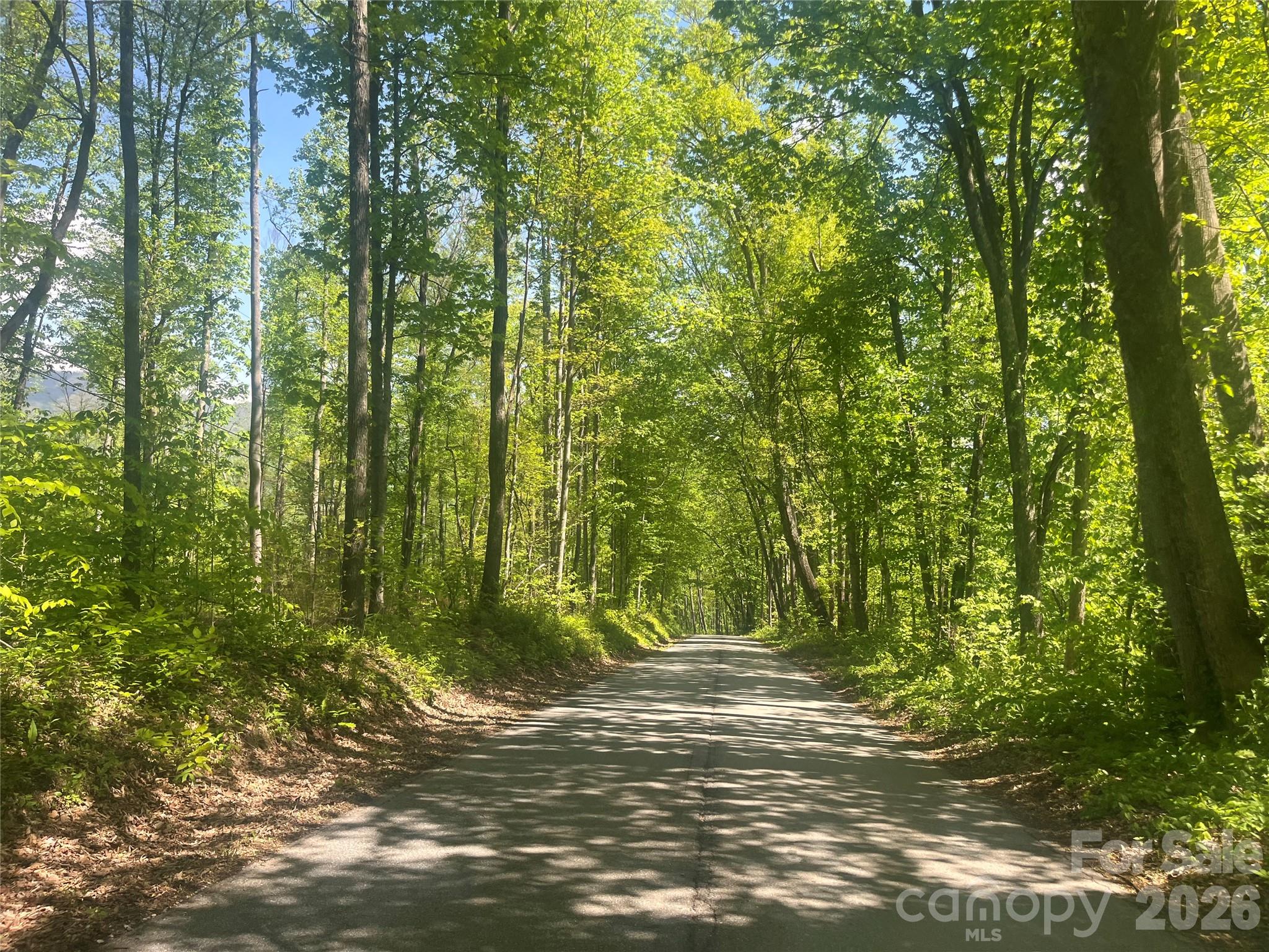 1205 Saunook Road Waynesville NC 28786