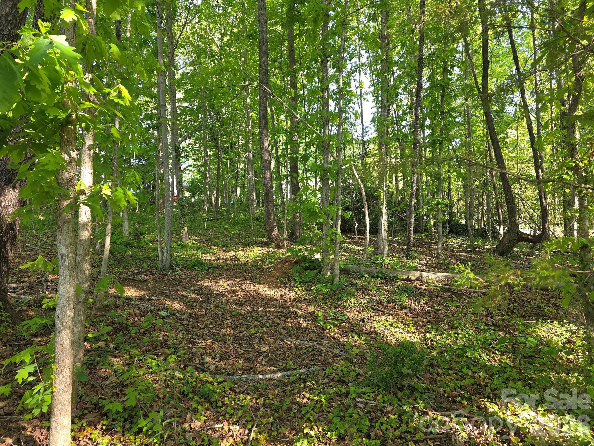 55 Cypress Road Marion NC 28752