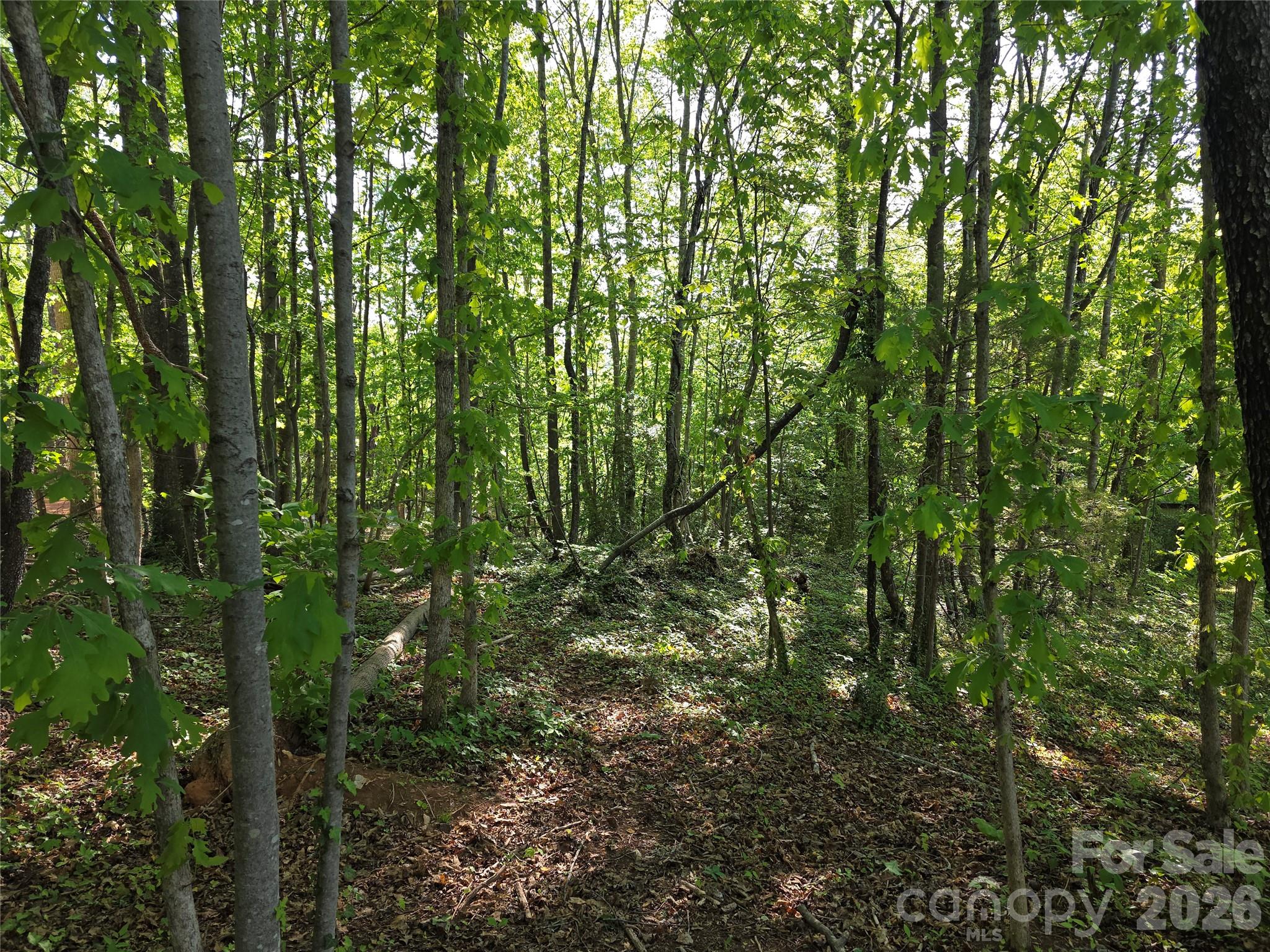 55 Cypress Road Marion NC 28752