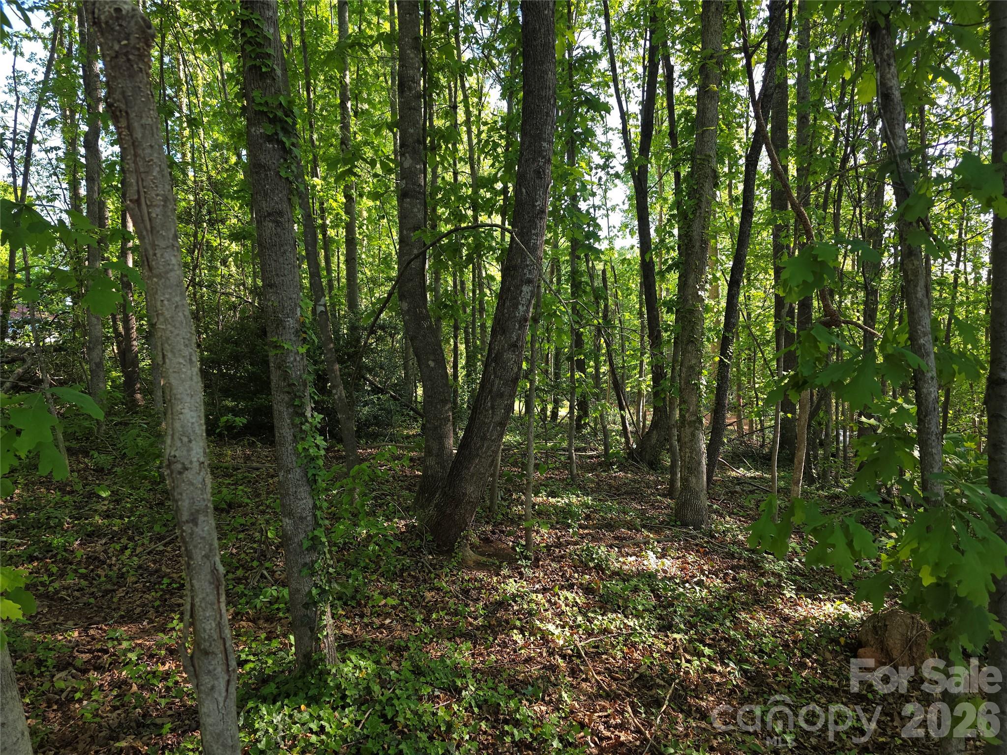 55 Cypress Road Marion NC 28752