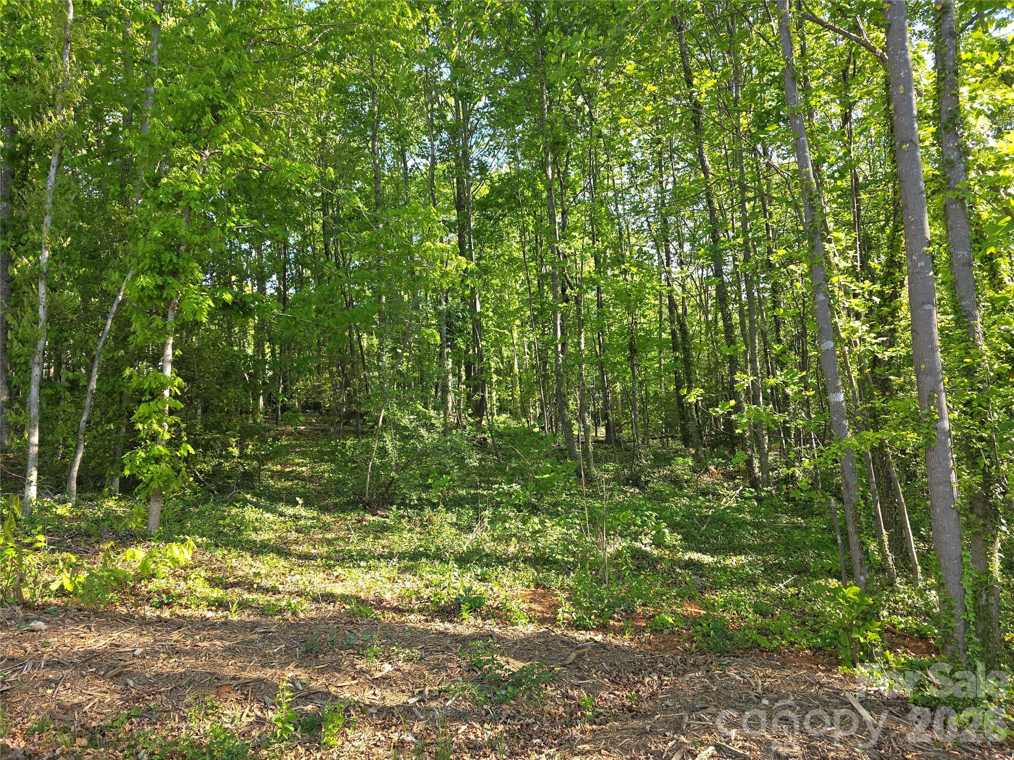 55 Cypress Road Marion NC 28752