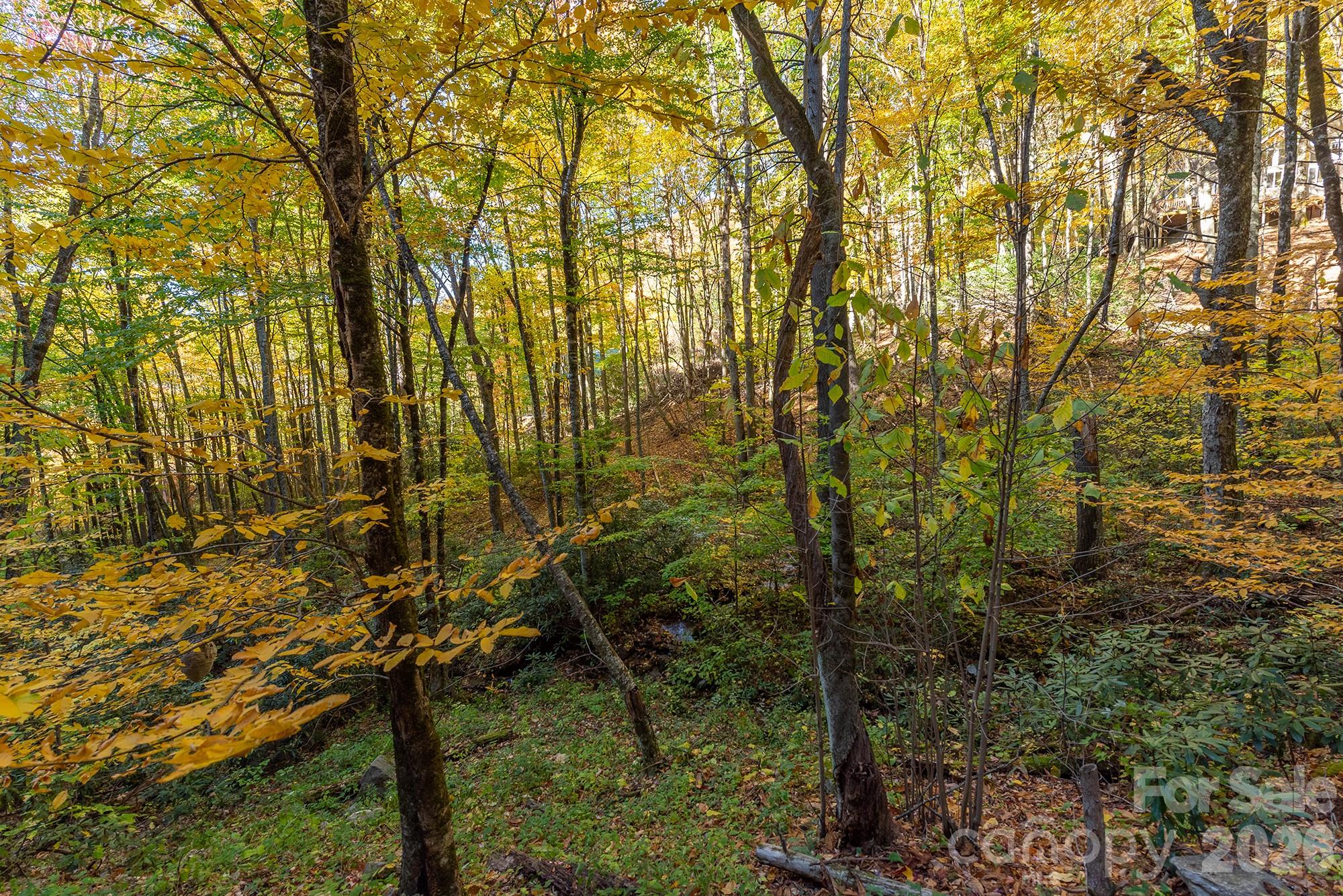 100 Candlemaker Trail Maggie Valley NC 28751
