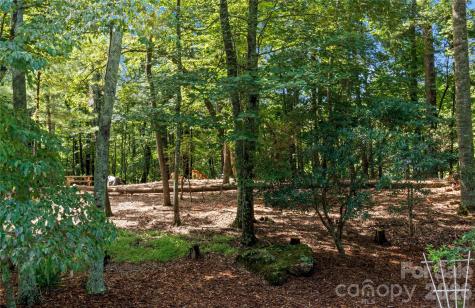 1502 Greenstreet Drive Traphill NC 28685