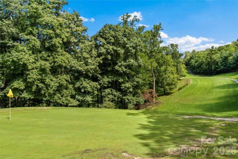 1502 Greenstreet Drive Traphill NC 28685