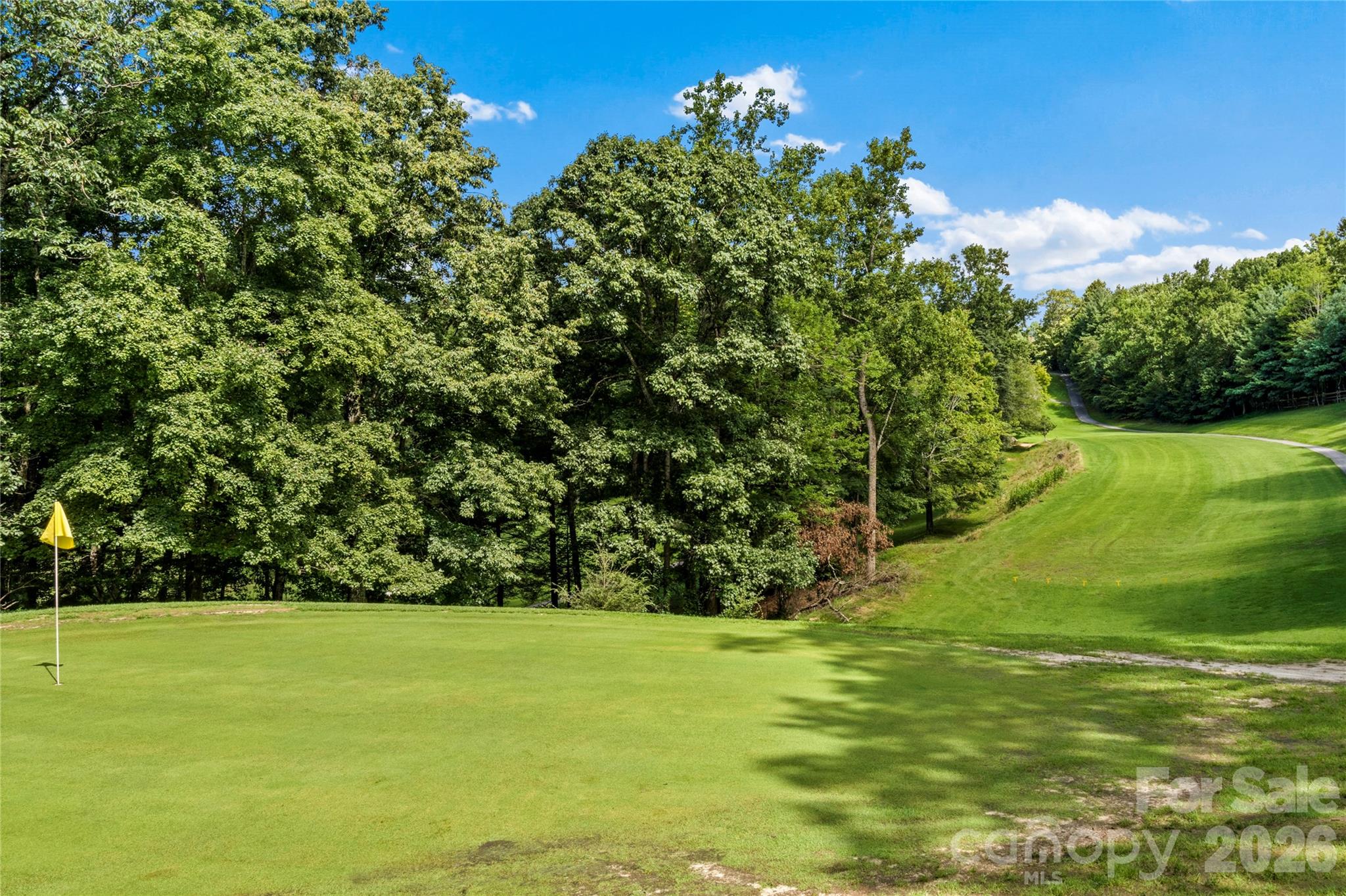1502 Greenstreet Drive Traphill NC 28685