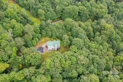 155 Mule Trail Drive Bakersville NC 28705