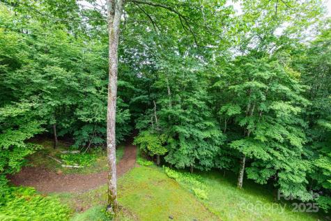 155 Mule Trail Drive Bakersville NC 28705