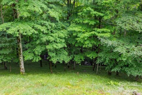 155 Mule Trail Drive Bakersville NC 28705