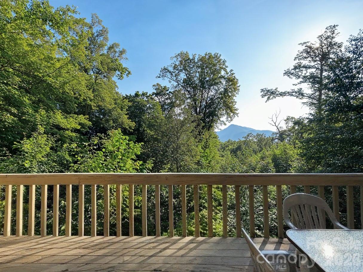 352 Bolt Road Lake Lure NC 28746