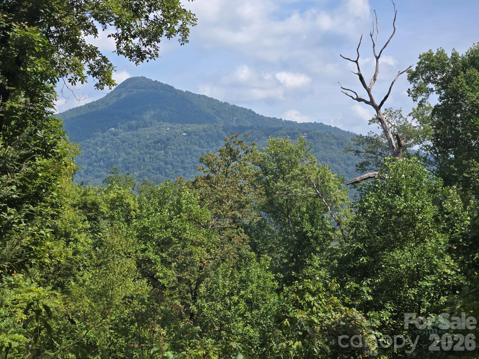 352 Bolt Road Lake Lure NC 28746