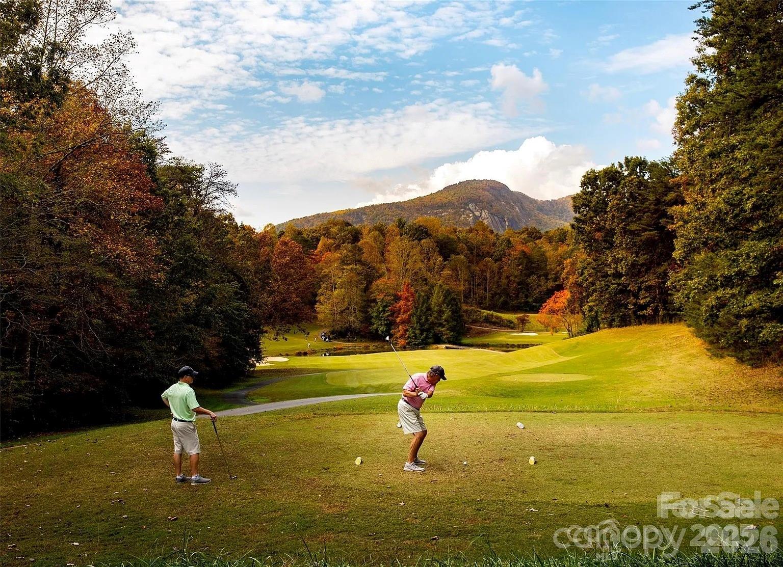 352 Bolt Road Lake Lure NC 28746