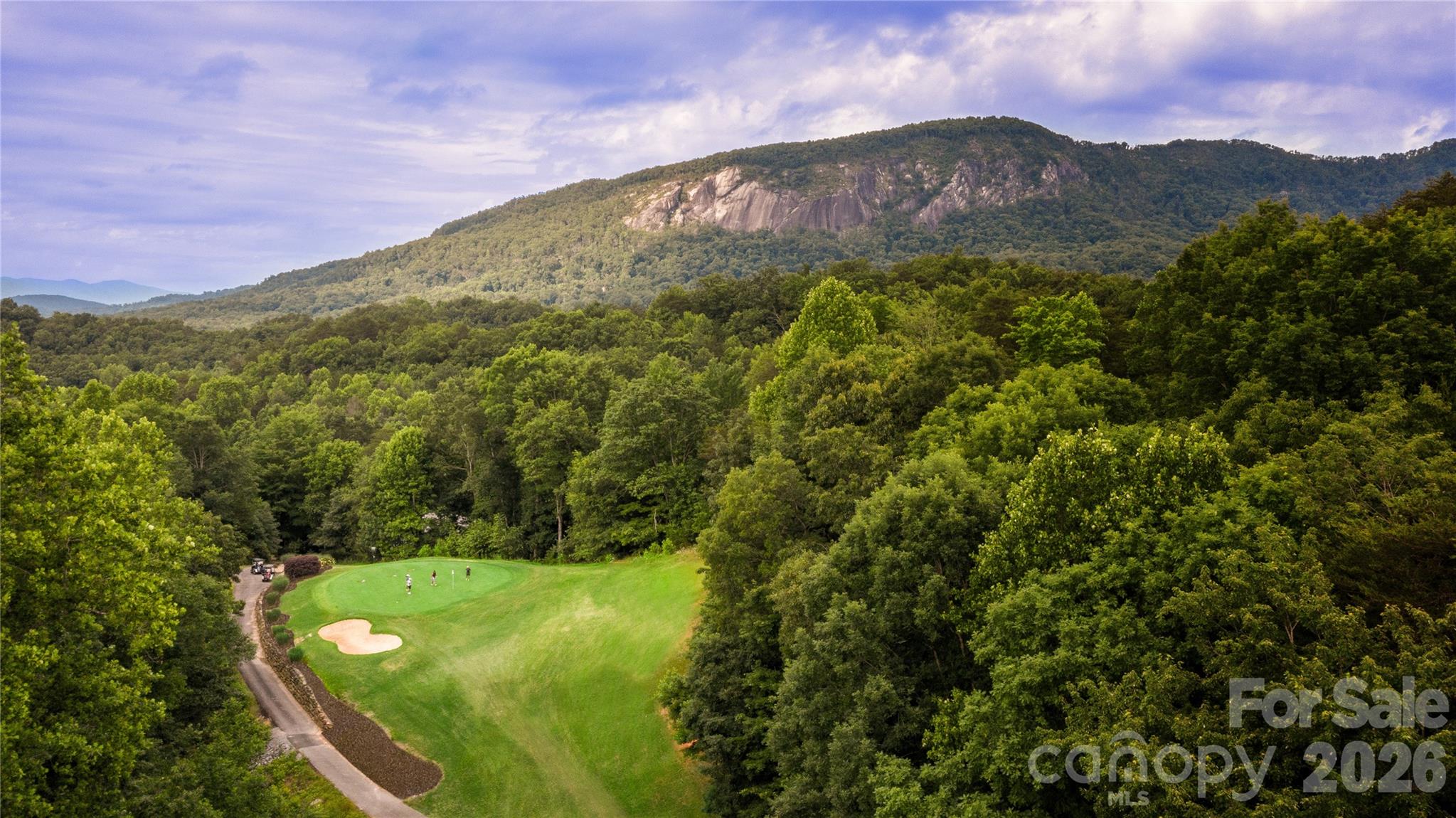 352 Bolt Road Lake Lure NC 28746