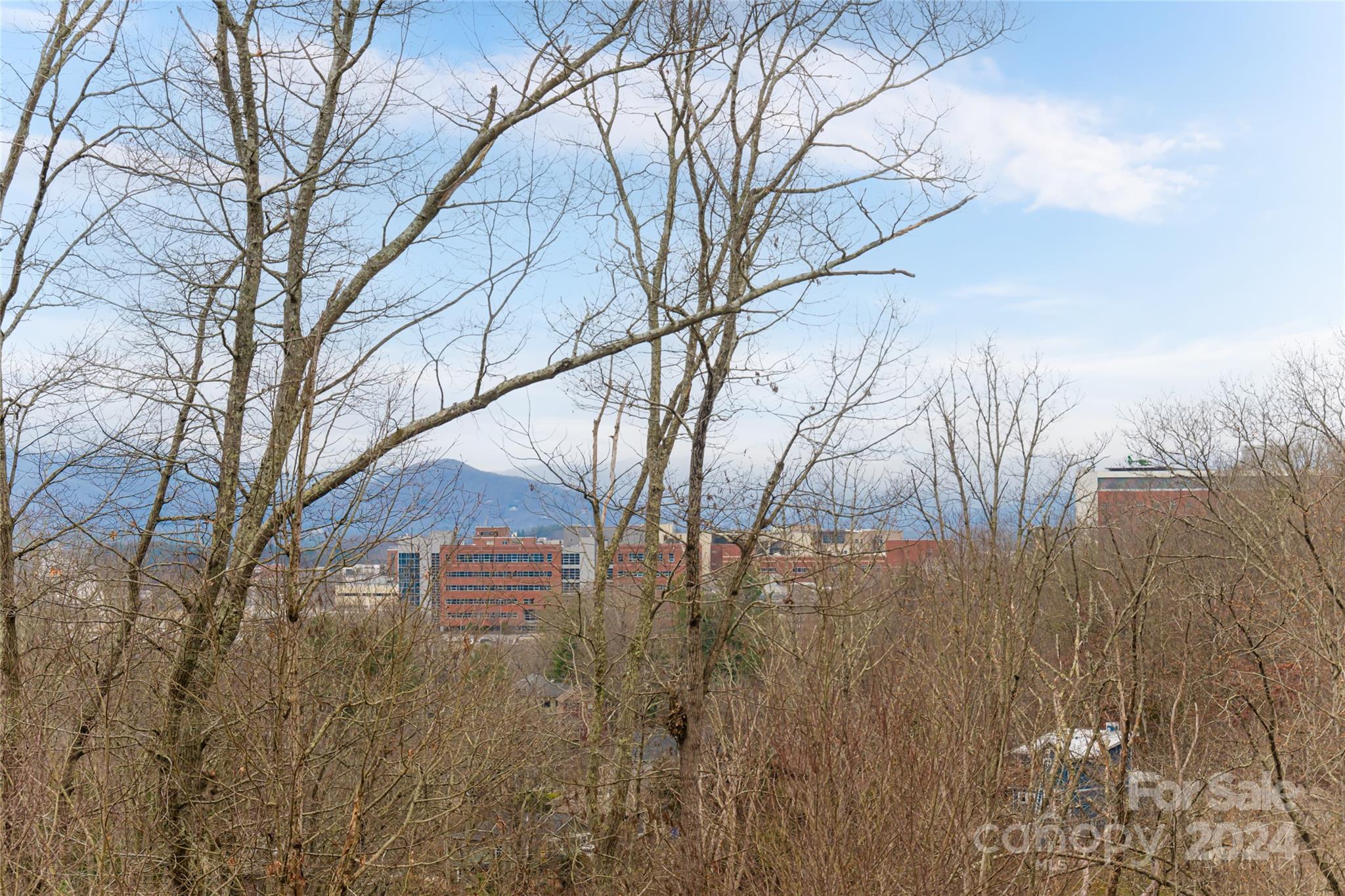 4 Faulkner Avenue Asheville NC 28805