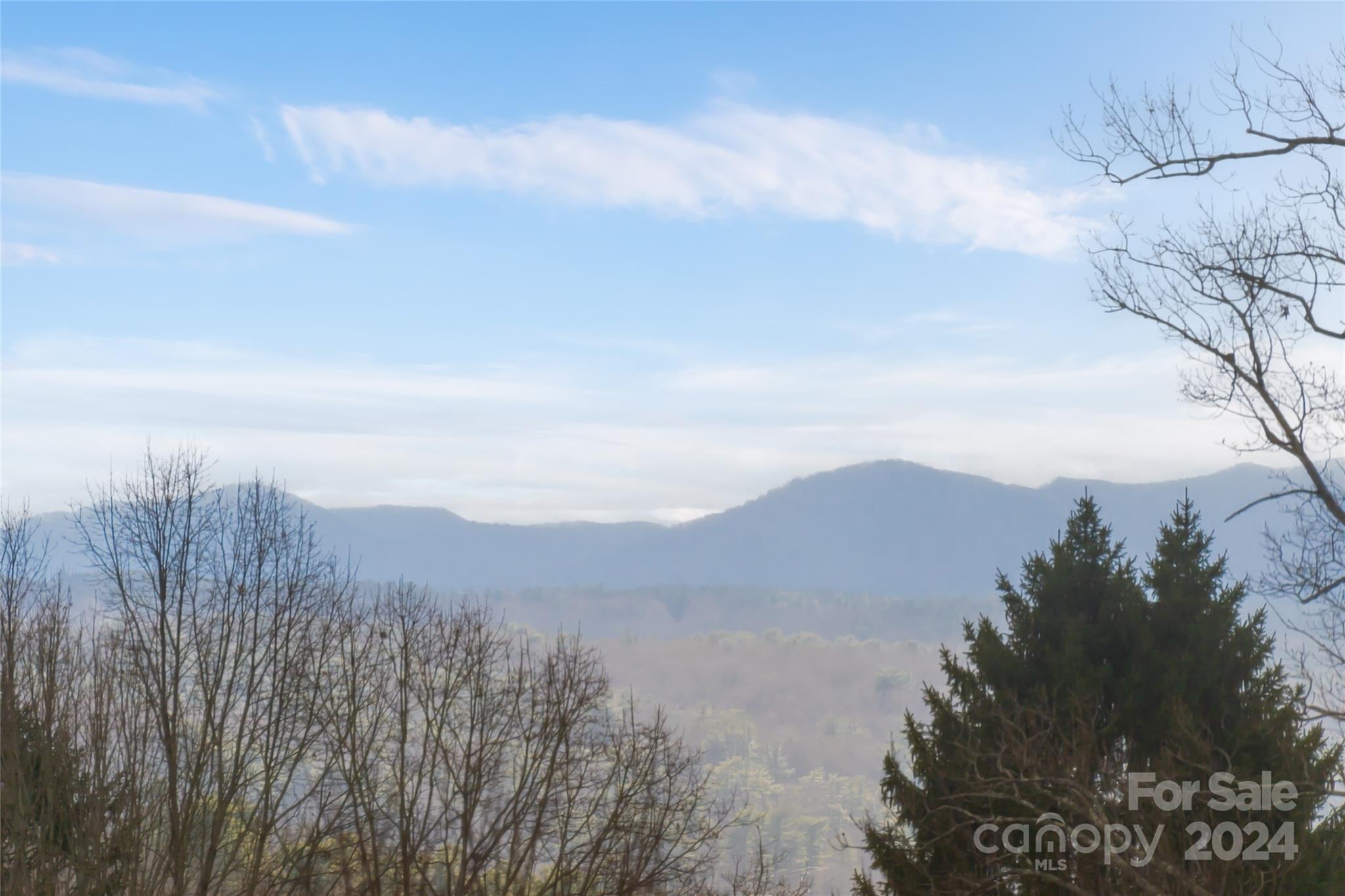 4 Faulkner Avenue Asheville NC 28805