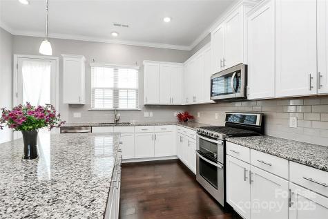 9604 Ainslie Downs Street Charlotte NC 28273