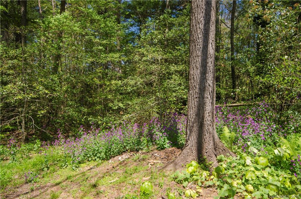 37 New Cross North Asheville NC 28805