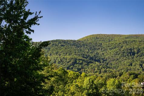 46 Nuthatch Court Fairview NC 28730